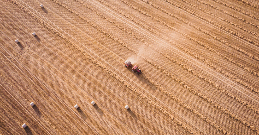 ministry of food and agriculture denmark